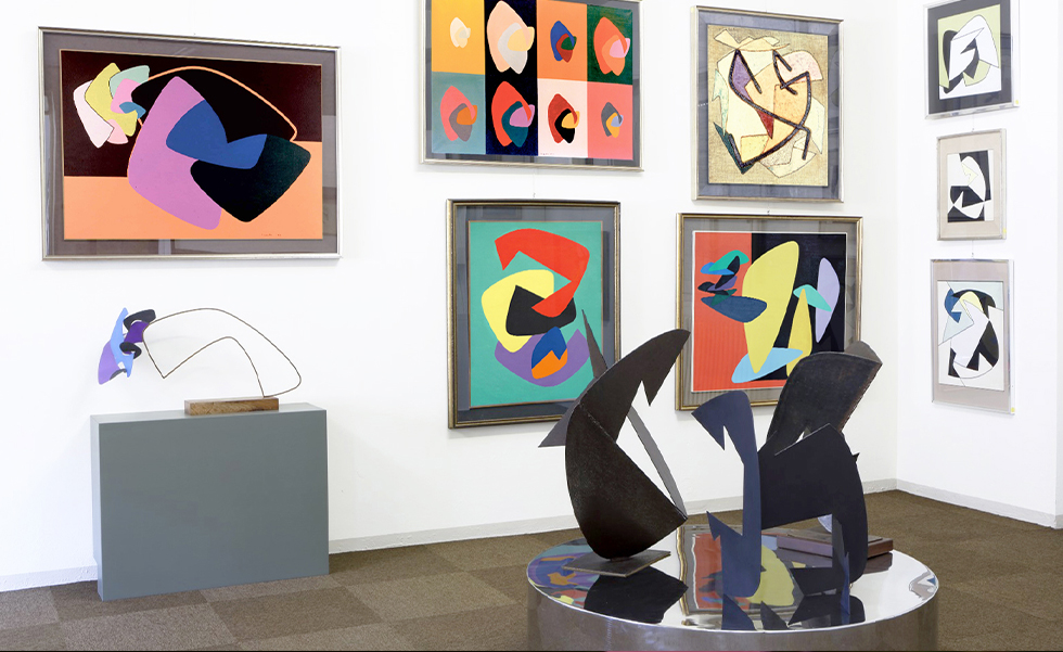 Fondazione Angelo Bozzola